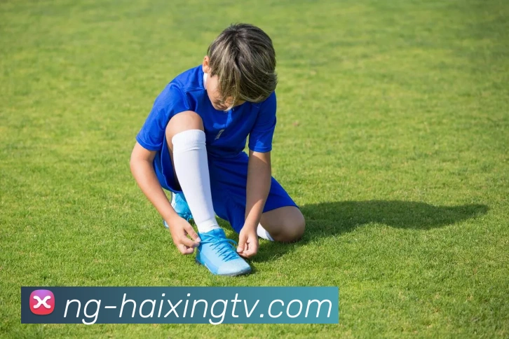 海星体育官网APP 封面图